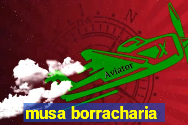 musa borracharia